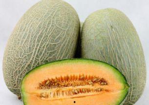 吃哈密瓜头变哈密瓜,揭秘哈密瓜头变哈密瓜的神奇现象