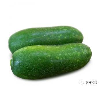 吃瓜情报处微山的瓜,揭秘吃瓜情报处的神秘瓜事