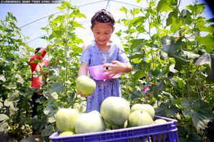 吃瓜群众视觉盛宴,吃瓜群众眼中的精彩瞬间