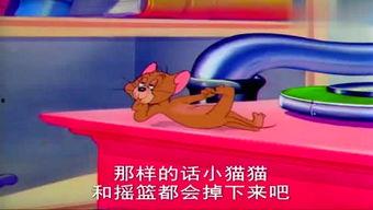 大马猴吃哈密瓜,一场味蕾与自然的邂逅