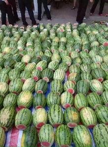 在景点吃瓜,美食之旅尽享悠闲时光