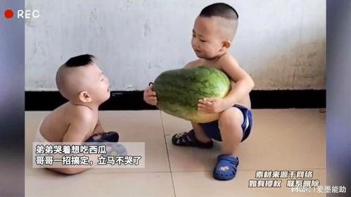 流泪吃瓜,见证人间百态的感人瞬间