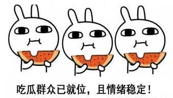 静静吃瓜啥意思,揭秘网络热点的背后故事