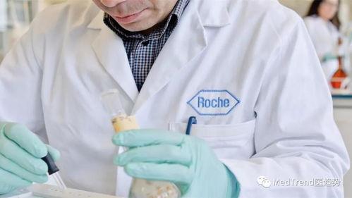 罗氏诊断吃瓜,揭秘瓜果检测领域的“健康守护者”