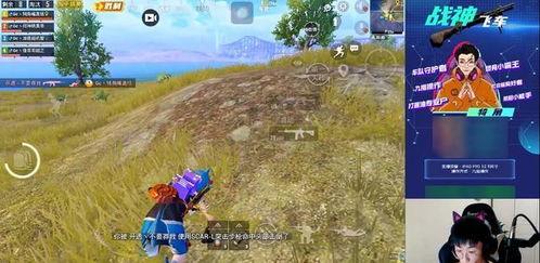 吃瓜书荒小队,畅游书海,共享阅读盛宴