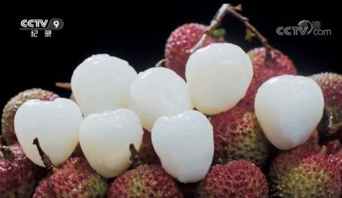 大米粒吃瓜,一场味蕾的盛宴